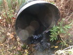 Culvert Crossing, David Brook, Gilead, Maine