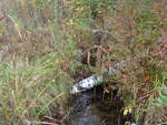 Culvert Crossing, David Brook, Gilead, Maine