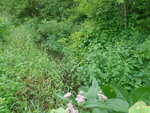 Culvert Crossing, Fort Fairfield, Maine
