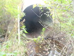 Culvert Crossing, Watson Brook, Brooklin, Maine