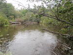 Culvert Crossing, Bells Brook, Columbia, Maine