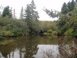 Culvert Crossing, Bells Brook, Columbia, Maine