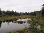 Culvert Crossing, Bells Brook, Columbia, Maine