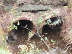 Multiple Culvert Crossing, Sedgwick, Maine
