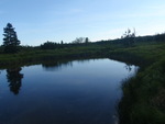 Multiple Culvert Crossing, Ingersoll Brook, Columbia, Maine