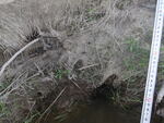 Multiple Culvert Crossing, Ingersoll Brook, Columbia, Maine