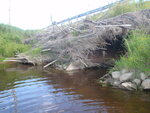 Multiple Culvert Crossing, Ingersoll Brook, Columbia, Maine