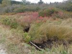 Culvert Crossing, Brooksville, Maine