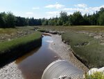 Culvert Crossing, Steuben, Maine