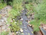 Culvert Crossing, New Stream, Wesley, Maine
