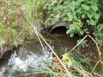 Culvert Crossing, Ulmer Brook, Hancock, Maine