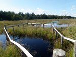 Culvert Crossing, Meadow Brook, Steuben, Maine