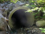 Culvert Crossing, Canoe Brook, Devereaux Twp, Maine
