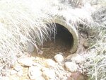 Culvert Crossing, Milbridge, Maine