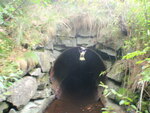 Culvert Crossing, Addison, Maine