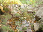 Culvert Crossing, Carleton Brook, Brooklin, Maine