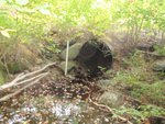 Culvert Crossing, Carleton Brook, Brooklin, Maine