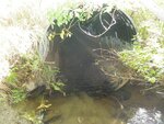 Culvert Crossing, Milbridge, Maine