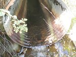 Culvert Crossing, Milbridge, Maine
