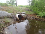 Culvert Crossing, Ellsworth, Maine