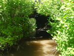 Culvert Crossing, Harrington, Maine