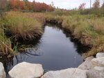 Culvert Crossing, Deep Bridge Brook, Sedgwick, Maine