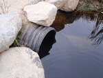 Culvert Crossing, Deep Bridge Brook, Sedgwick, Maine