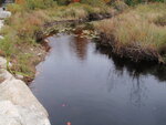 Culvert Crossing, Deep Bridge Brook, Sedgwick, Maine