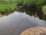 Culvert Crossing, Franklin, Maine