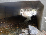 Bridge Crossing, Winkumpaugh Brook, Orland, Maine