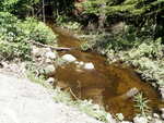 Bridge Crossing, Winkumpaugh Brook, Orland, Maine