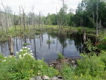 Culvert Crossing, Orland, Maine