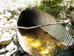 Multiple Culvert Crossing, Winkumpaugh Brook, Ellsworth, Maine