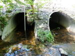 Multiple Culvert Crossing, Winkumpaugh Brook, Ellsworth, Maine