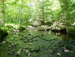 Multiple Culvert Crossing, Winkumpaugh Brook, Ellsworth, Maine