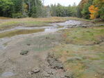 Culvert Crossing, Blue Hill, Maine