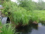 Multiple Culvert Crossing, T19 MD BPP, Maine