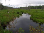 Multiple Culvert Crossing, T19 MD BPP, Maine