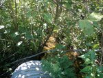 Culvert Crossing, Gouldsboro, Maine