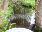 Culvert Crossing, Franklin, Maine