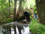 Culvert Crossing, Franklin, Maine