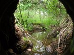 Culvert Crossing, Franklin, Maine