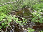 Culvert Crossing, Harrington, Maine