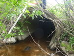 Culvert Crossing, Harrington, Maine