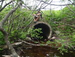 Culvert Crossing, Harrington, Maine