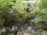 Culvert Crossing, Rocky Brook, Franklin, Maine