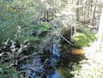 Culvert Crossing, Gouldsboro, Maine