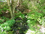 Culvert Crossing, Ellsworth, Maine