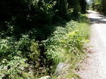 Culvert Crossing, Ellsworth, Maine