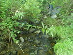 Culvert Crossing, Cherryfield, Maine